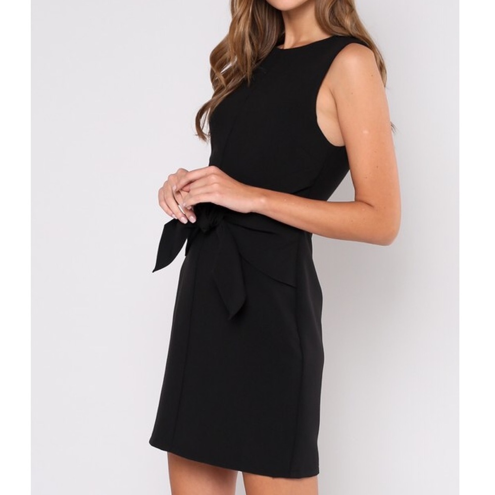 Tie Waist Dress - Picture 1 of 5